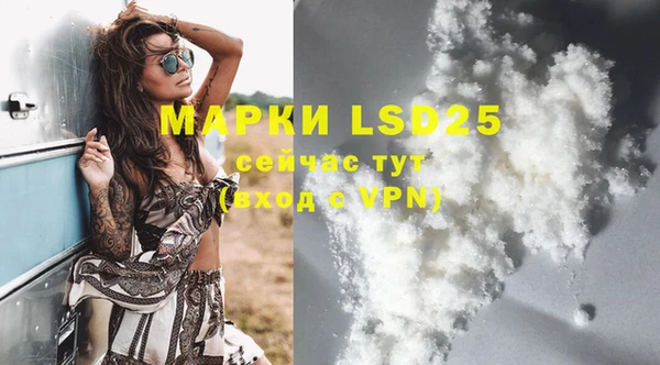 ешки Белокуриха